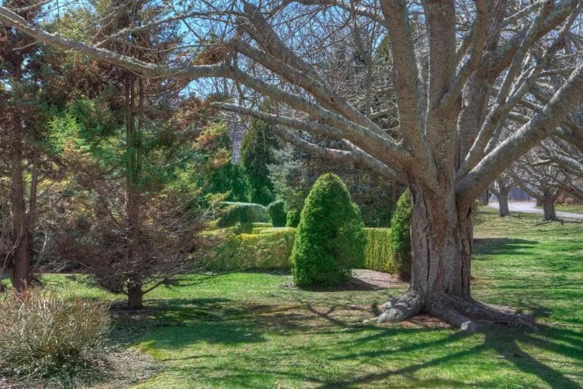The Hamilton Hoppin House, Villa 120 Newport, Ri Middletown Ngoại thất bức ảnh